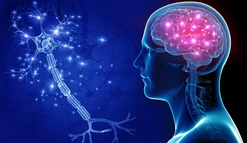 Neurology