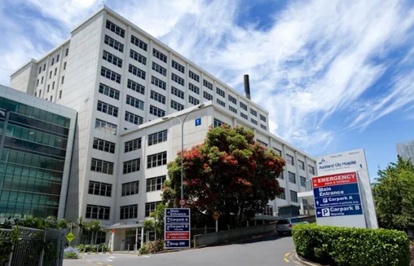 Auckland City Hospital
