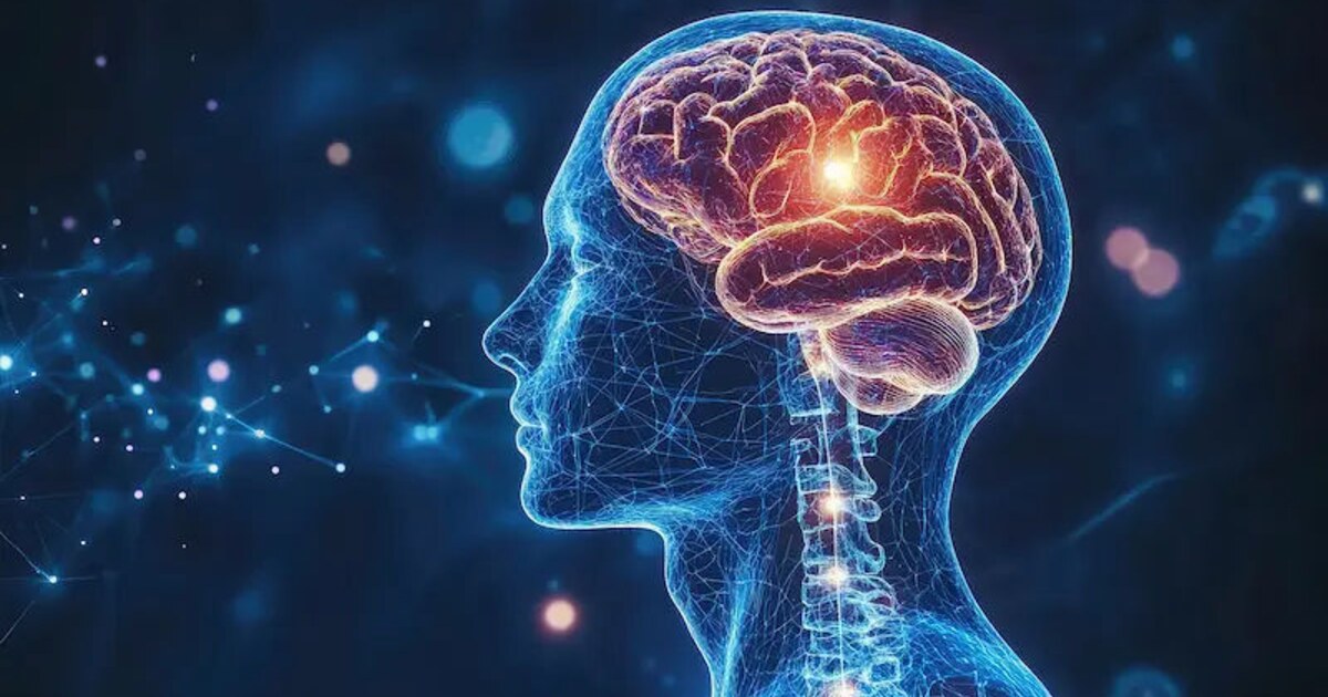 How Gut Health Affects Your Brain, Immunity & Overall Wellness