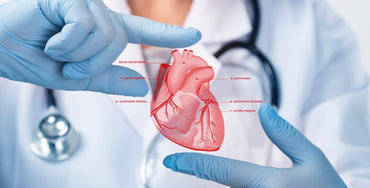 How to Choose a Cardiologist Abroad: 12 Questions Before You Book